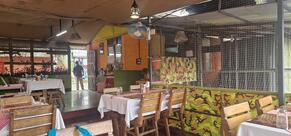 DE JUNGLE CAFE