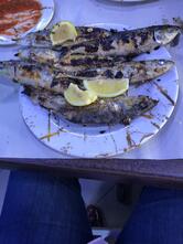 Grillade de Poisson SCAD FISH