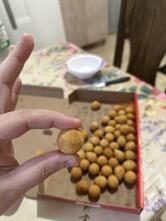 Carol Coxinhas Salgadinhos para Festa Cento de Salgados Cascavel, PR
