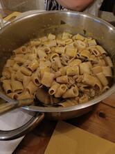 Un Leccio