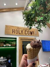 Holy Cow!