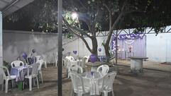 Caranguejo da Taty