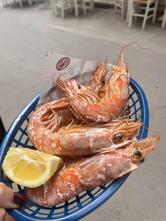Sapurito Street Food & Goloserie