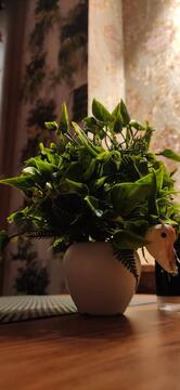 Vasista's Dark World Restaurant