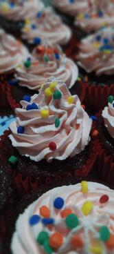 Lutheus Cupcake