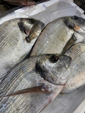 Ristorante di Pesce - Pescarium