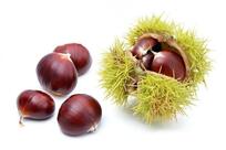Neccio