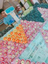 PJJ Fruits