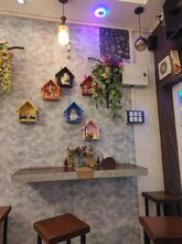 Ziggy Café