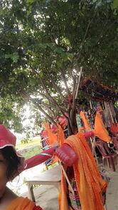 महाकाल रेस्ट हाउस848202