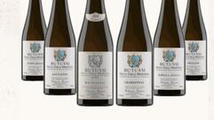 Degustazioni Shop enoteca, degusteria, bottiglieria