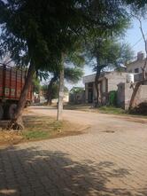 Tandoori junction