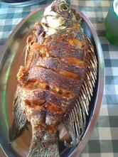 Restaurante Toca do Peixe