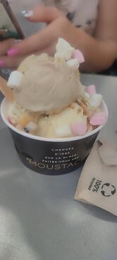 Glaces Moustache-Artisan Glacier