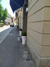 City cafè