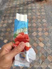 Shoubai Bastos