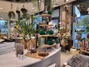Café Simeoni Fleurs