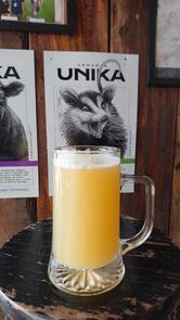 Parada UNIKA