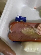 BELA BURGUER
