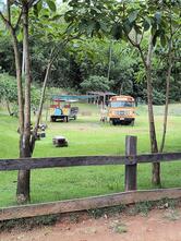Fazenda Floresta