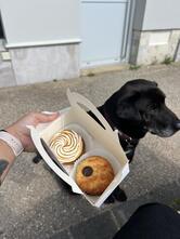 Le Fournil Bio