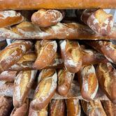 Fornaio Mapo - Fusion Bakery