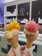 Gelateria Cactus