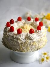 Gracika baking world