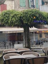 Café du xxème siècle