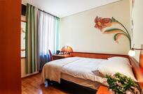 Tailormade Hotel AL GIARDINETTO Biasca