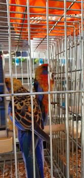 Bar Centrale Di Testa Fabio Snc