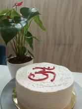 Bakers Haven (Pure eggless) ( Pre-Order Only)