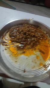 Kunal Family Garden Restaurant