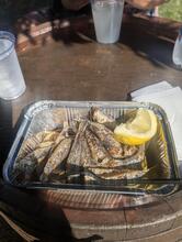 LOVE Seafood