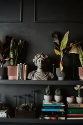 Narcissus Bar Zagreb