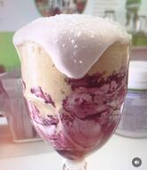 Herbalife GF slim protein