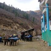 Maya Shiv Shakti Cafe, Tosh