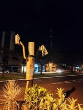 Sálvia Restaurante