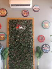 DEKCHI Multi Cuisine Restro