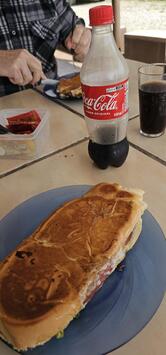 Dog Lanches