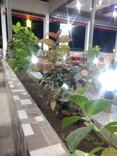 Hotel Modak Pure Veg Restaurant