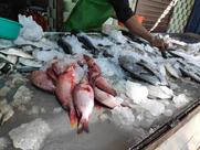 Madassery Fish Market(Pacha Mathsya Vipanana Kendram)