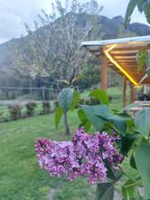 Agriturismo Dal Pioppo