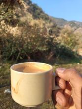 Shilkyari Camps and Resorts Tigerfall