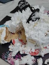 Tipsy Topsy - Best Cake Shop In Azamgarh