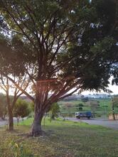 Pizzaria do Lago – Zona Norte Londrina