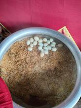 HARINGHATA MEAT & RESTAURANT Chandpara
