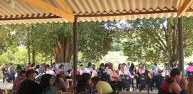 Restaurante Pé na Roça