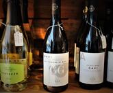 Cibus Gastronomia e Vino