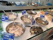 Capricci del mare